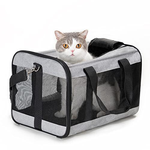 Conlun Pet Carrier Gray M