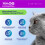 TeddyDo Cat Calming Diffuser Plug-In (UK Type G) Pheromone Diffuser fo 3