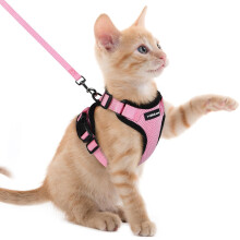 rabbitgoo Cat Harness and Lead Set, Escape Proof Kitten Harness with L