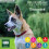 Ancol Ancol Timberwolf Premium Leather Dog Collar - Comfortable Durable Pet 4