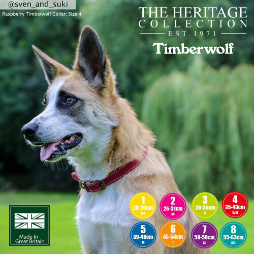 Ancol Ancol Timberwolf Premium Leather Dog Collar - Comfortable Durable Pet 2