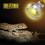 Exo Terra Intense Basking Spot Lamp, 50 W 2