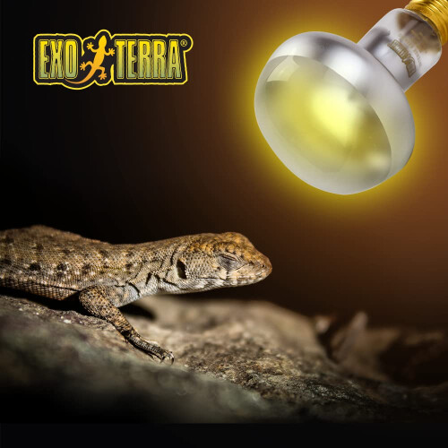 Exo Terra Intense Basking Spot Lamp, 50 W 1