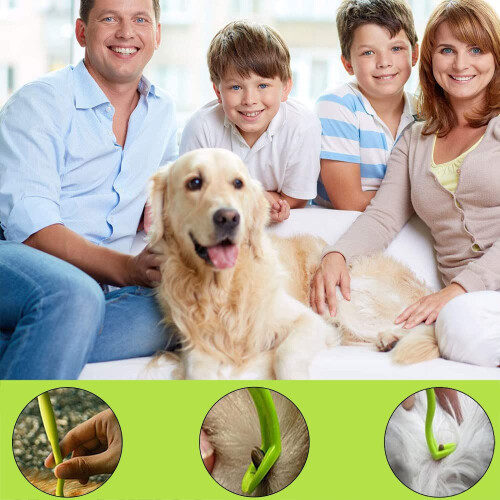 HouChanges 3Pcs Tick Remover Tool,Painlessly Tick for Dogs Cats and Hu 1