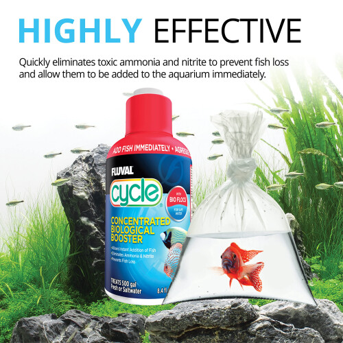 Fluval Fluval Cycle Biological Enhancer, 250 ml (Packaging may vary) (Pack of 2