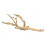 Exo Terra Forest Branch, Medium (Exact Size May Vary) 2