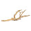 Exo Terra Forest Branch, Medium (Exact Size May Vary) 1