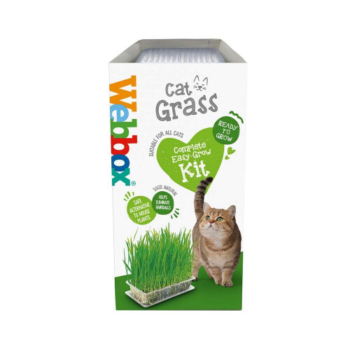 Webbox Webbox Cat Grass Kit 120g
