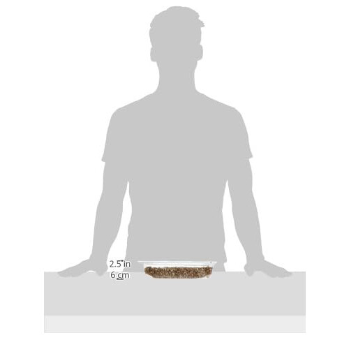 Webbox Webbox Cat Grass Kit 120g 2