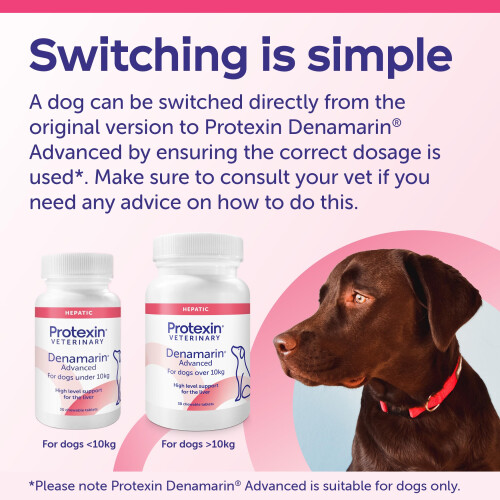 Protexin Denamarin Advanced for Dogs over 10kg 30 Tablets 1