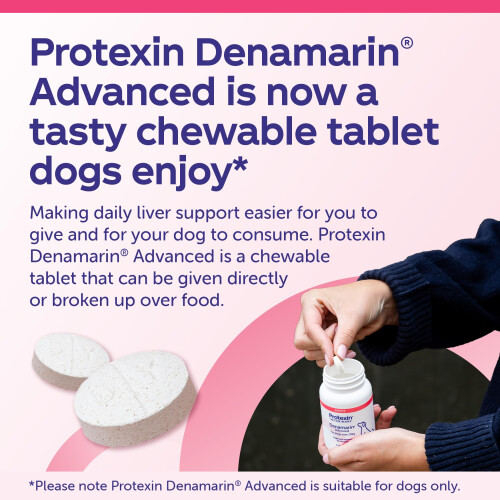Protexin Denamarin Advanced for Dogs over 10kg 30 Tablets 2
