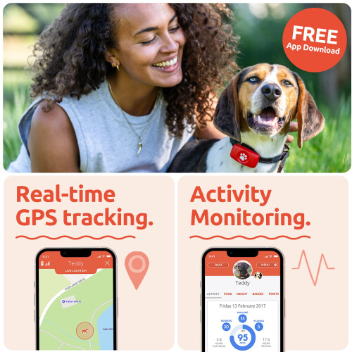PitPat Dog GPS Tracker - No Subscription Required - Suitable for All D 2