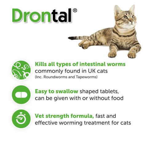 Drontal Wormer XL Tablets for Large Cats (Over 4kg) x 1 Tablet 2