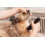 Wahl WAHL Colour Pro Rechargeable Pet Clipper, Clippers with Coded Combs, F 5