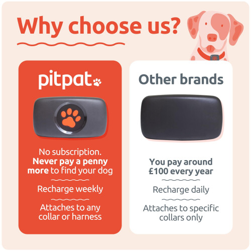 PitPat Dog GPS Tracker - No Subscription Required - Suitable for All D 1