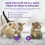 TopSum Cat Calming Plug-in: Premium Cat Pheromone Diffuser - Cat Plug 6