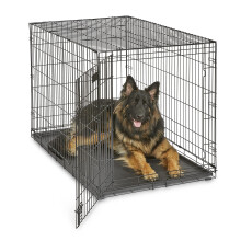 MidWest 1548 iCrate Single-Door Pet Crate 48-By-30-By-33-Inch