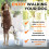 Canny Collar No-Pull Dog Headcollar | Train Your Dog To Stop Pulling & 3