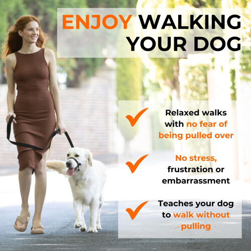 Canny Collar No-Pull Dog Headcollar | Train Your Dog To Stop Pulling & 2