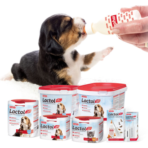 Beaphar Beaphar - Lactol Feeding Set - For use with Animal Milk Replacer - Ide 2