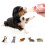 Beaphar Beaphar - Lactol Feeding Set - For use with Animal Milk Replacer - Ide 4