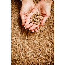 10 L Wood Based Cat Litter, Ultra Absorbent, Biodegradable, Cat and Ki