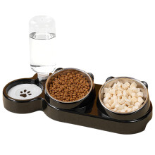 3-in-1 Cat Food and Water Bowl Set, Tilted Stainless Steel Bowls with