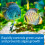 API Prevent Algae Aquarium Algae Control Solution, 237 ml Bottle 3