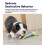Petstages Cool Teething Stick Dog Toy 5