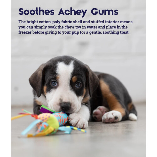 Petstages Cool Teething Stick Dog Toy 2