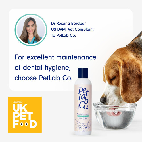 PetLab Co. Dog Dental Formula – Help Keep Breath Fresh, Target Plaque 1