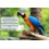 Johnston & Jeff Premium Fruit Parrot Seed 2kg - Mixed Aviary Blend, 22 4