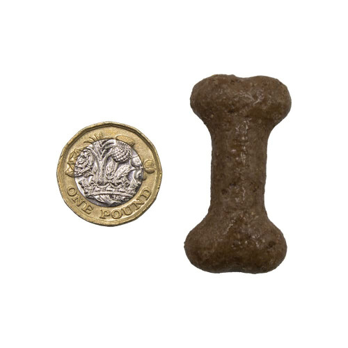 Extra Select Gravy Bones Beef Flavoured Dog Treat Biscuits in a 1ltr B 2