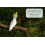 Johnston & Jeff Premium Fruit Parrot Seed 2kg - Mixed Aviary Blend, 22 6