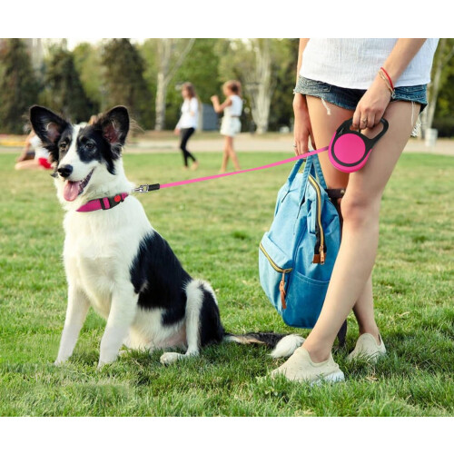 Taglory Retractable Dog Lead 5 m, Extendable Leash No-Tangle Heavy Dut 1