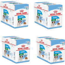 Royal Canin Mini Puppy Complete Wet Food in Gravy 48 x 85g