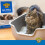 Dr. Elsey's Precious Cat Ultra Cat Litter, 8.16 kg 6
