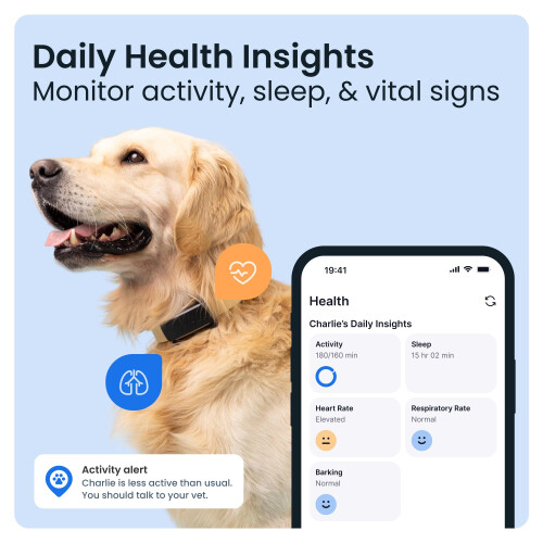 Tractive Smart Dog Tracker Bundle with Olive Cover | 2025 Edition | Re 2