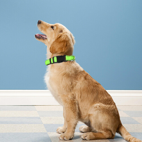 LZGOPE Reflective Dog Collar, Adjustable Soft Neoprene Padded Nylon Pe 1