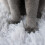 Eidoct Furry Self Warming Cat Mat for Cats Small Dogs,Function 2 in 1 6