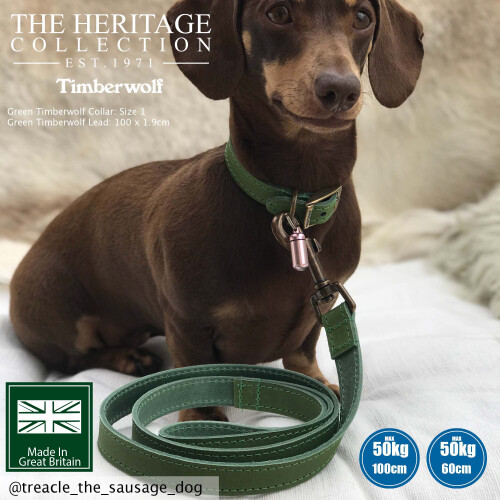 Ancol Ancol Timberwolf Leather Lead Green 1mx19mm 1