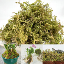 Natural Sphagnum Moss, 9 Quarts Dried Moss for Potted Plants, Indoor I