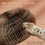 Fliti Magic Organ Interactive Cat Scratcher Toy - The Ultimate Interac 4
