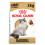 Royal Canin Royal Canin Cat Food Ragdoll 2kg 1