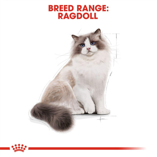 Royal Canin Royal Canin Cat Food Ragdoll 2kg 2