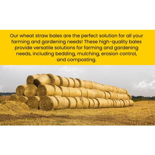 Shorefields Wheat Straw Full Bale - Animal Bedding for Horses, Rabbits 2