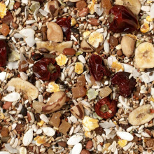 Johnston & Jeff Low Sunflower Diet for African Greys Parrot Food, 12.7