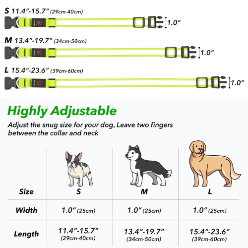 Visinite LED Dog Collar USB Rechargeable, Reflective Light Up Pet Coll 1