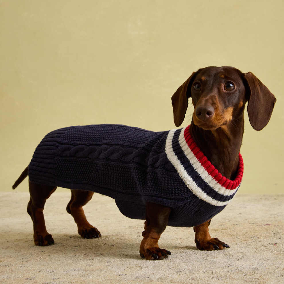 Rosewood X Joules Dawson Navy Knit Jumper For Dogs, Small, Washable, W
