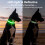 Visinite LED Dog Collar USB Rechargeable, Reflective Light Up Pet Coll 3